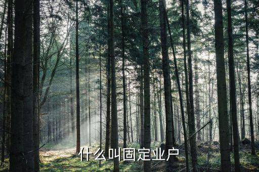 什么叫固定業(yè)戶，木耳加工企業(yè)從固定業(yè)戶收購木耳能開具農(nóng)產(chǎn)品收購發(fā)票嗎