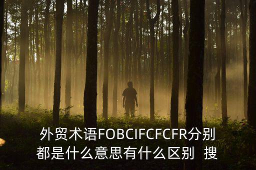 什么是被指定國別報(bào)告，什么是SGS