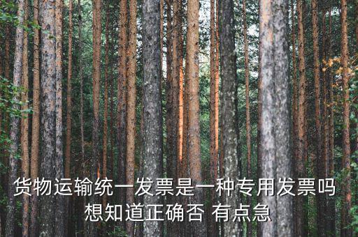 貨物運(yùn)輸統(tǒng)一發(fā)票是一種專用發(fā)票嗎 想知道正確否 有點急
