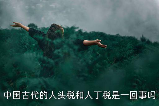 古代的稅是什么，稅收在我國歷史悠久古代的估稅現(xiàn)在叫什么