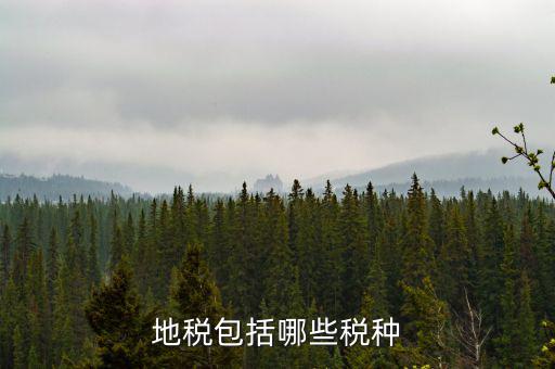 地稅包括什么，地稅包括哪些稅種