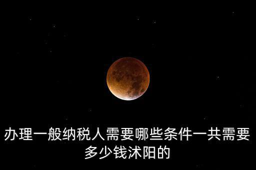 納稅人需求是什么，申請一般納稅人有什么要求嗎需滿足哪些條件華廈投資可以代為申