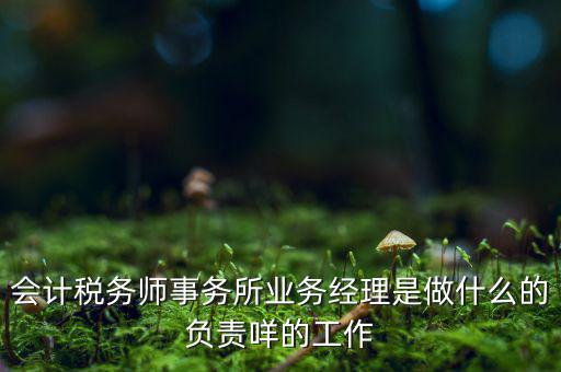 稅務(wù)師事務(wù)所做什么的，稅務(wù)所是干什么的