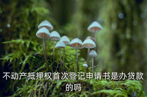 不動(dòng)產(chǎn)抵押權(quán)首次登記申請書是辦貸款的嗎