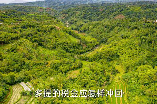 多提的稅金應怎樣沖回
