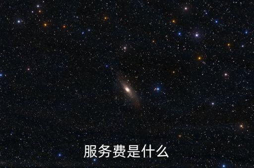 服務費是什么