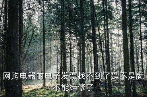為什么電子發(fā)票找不到了，網(wǎng)購電器的電子發(fā)票找不到了是不是就不能維修了