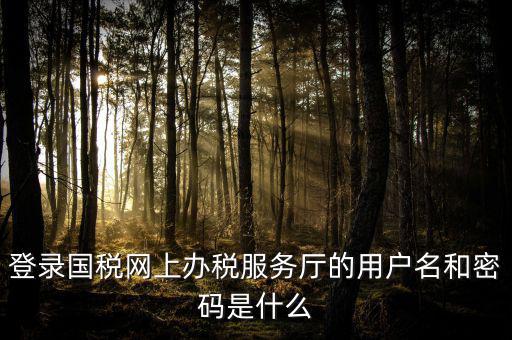 國稅網(wǎng)上登錄密碼是什么意思，國稅第一次網(wǎng)上申報(bào)的登陸密碼是什么