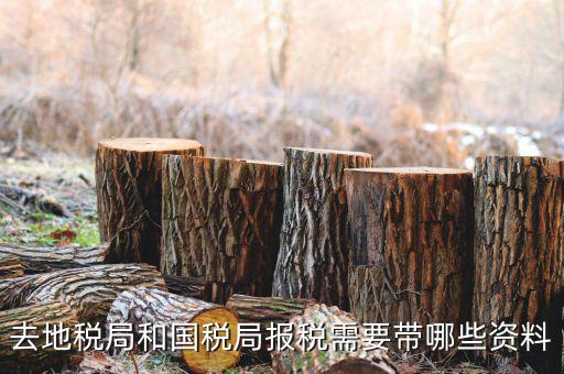 地稅局交稅需要什么，去地稅局繳納營業(yè)稅金及附加需要帶什么資料