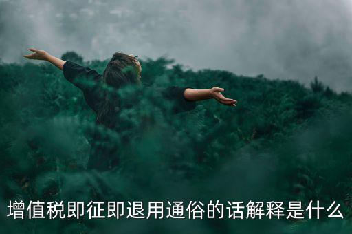 增值稅即征即退用通俗的話(huà)解釋是什么