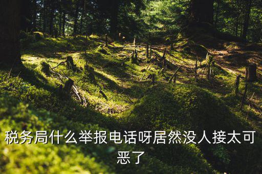 什么叫稅務(wù)舉報(bào)，稅務(wù)局什么舉報(bào)電話呀居然沒人接太可惡了