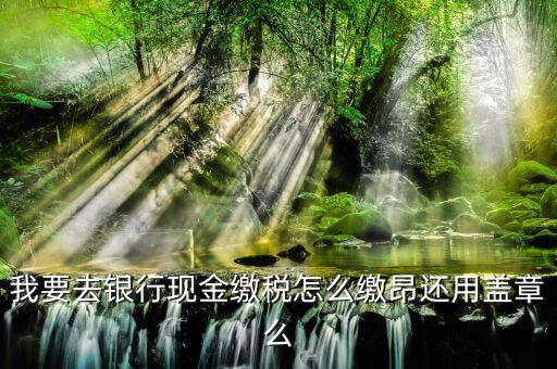 納稅戶銀行交稅除了蓋章還要什么，打印出表來后銀行會直接扣稅么然后還要帶著打出來的表去稅務(wù)