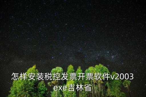 怎樣安裝稅控發(fā)票開(kāi)票軟件v2003exe吉林省