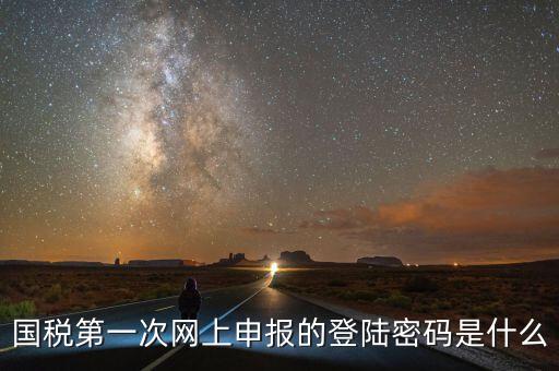 國稅第一次網上申報的登陸密碼是什么