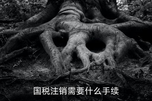 國(guó)稅局注銷(xiāo)要什么手續(xù)，國(guó)稅注銷(xiāo)需要什么手續(xù)