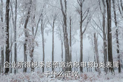 所得稅b類(lèi)按什么征收，企業(yè)所得稅季度預(yù)繳納稅申報(bào)b類(lèi)表屬于什么征收