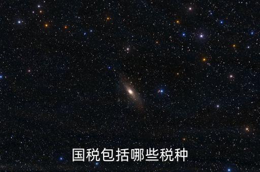 國稅局主要收什么稅，國稅包括哪些稅種