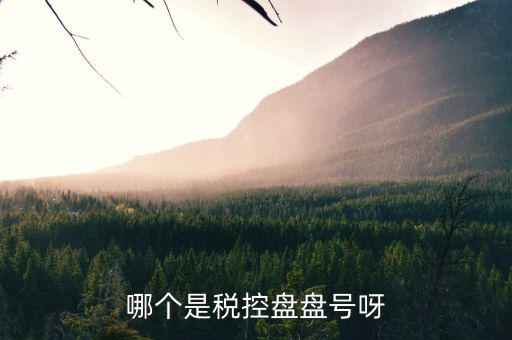 稅控盤號是什么，什么叫稅控盤號