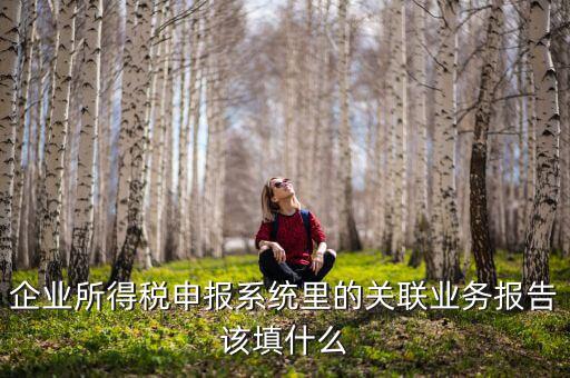什么情況寫關聯(lián)申報，企業(yè)所得稅申報系統(tǒng)里的關聯(lián)業(yè)務報告該填什么