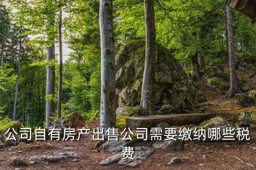 銷售房產(chǎn)公司交什么稅，銷售房產(chǎn)繳納什么稅