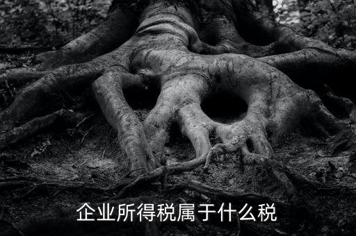 企業(yè)所得稅是什么稅，所得稅包括什么稅