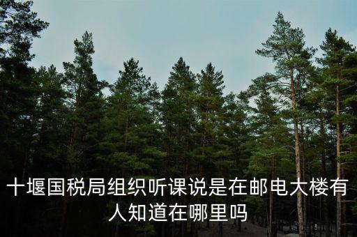十堰國稅六辦指什么地方，十堰國稅局組織聽課說是在郵電大樓有人知道在哪里嗎