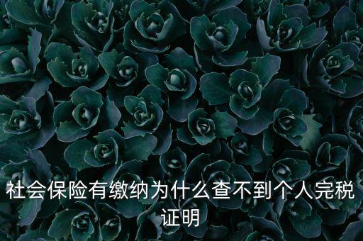為什么查不到納稅記錄，社會(huì)保險(xiǎn)有繳納為什么查不到個(gè)人完稅證明