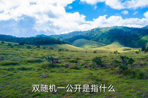 稅務(wù)雙隨機一公開是什么意思，雙隨機一公開屬于什么用語比如習語標語或者成語之類的因為