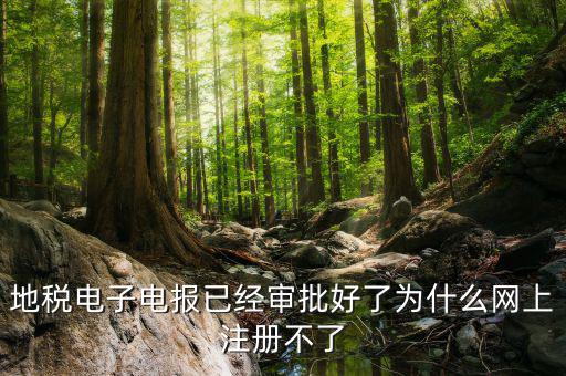 河地稅網(wǎng)上辦稅為什么注冊不了，地稅網(wǎng)上打印報表提示沒有注冊要怎么注冊呢