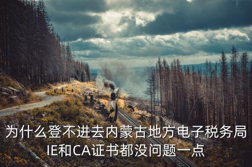 為什么ca登不了電子稅務(wù)局，國稅數(shù)字證書登陸失敗請問什么原因