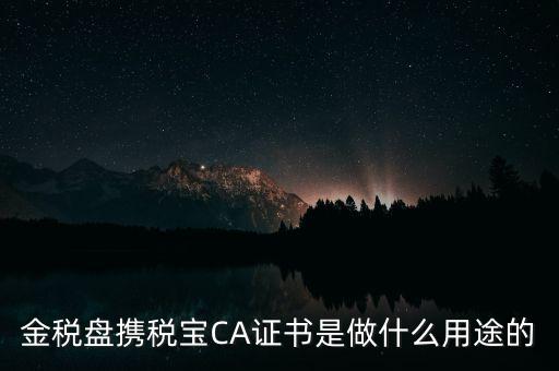 企業(yè)ca證書有什么用，財悠悠CA數(shù)字證書有什么作用對于企業(yè)可以起到什么作用
