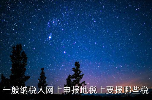 地稅都申報什么，一般納稅人網(wǎng)上申報地稅上要報哪些稅