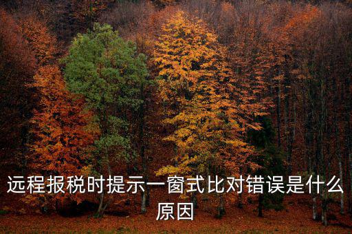 遠(yuǎn)程報(bào)稅時(shí)提示一窗式比對錯誤是什么原因