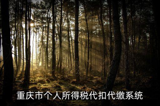 重慶網(wǎng)上繳稅什么網(wǎng)址，重慶市國稅網(wǎng)網(wǎng)址是多少