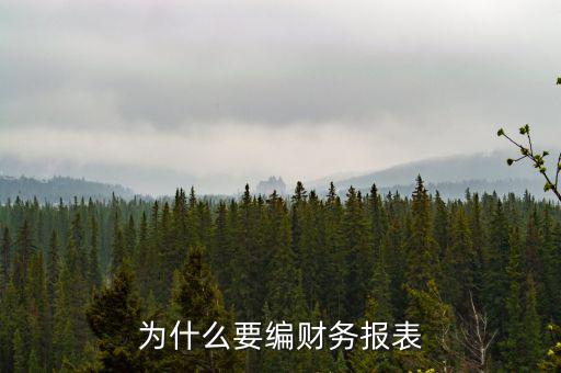 為什么要申報(bào)財(cái)務(wù)報(bào)表，為什么要編財(cái)務(wù)報(bào)表