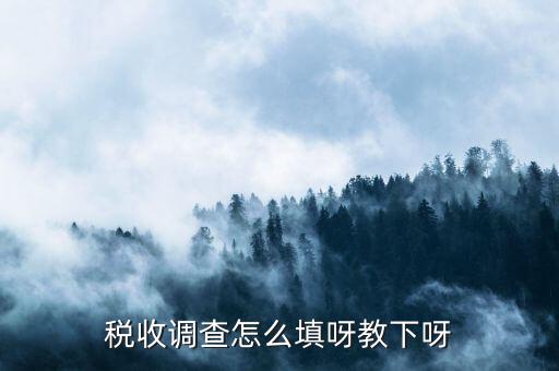 稅收調(diào)查主要調(diào)查什么，企業(yè)所得稅稅收調(diào)查