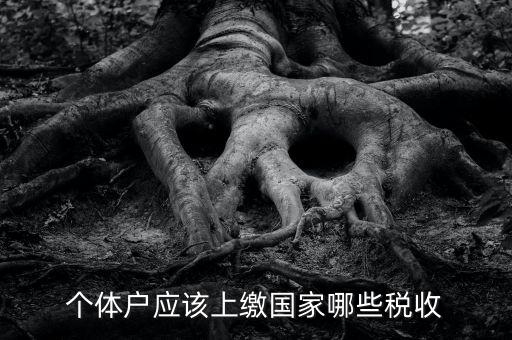 個(gè)體戶應(yīng)該上繳國家哪些稅收
