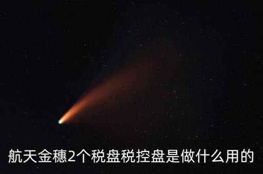開票軟件兩盤是什么，第二個金稅盤裝開票軟件裝不了也沒有完全安裝這一步啥意思