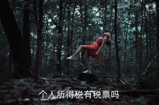 個(gè)人所得稅是什么發(fā)票，個(gè)人所得稅有稅票嗎