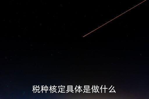 票中核定是什么核定的，哪些情況下要進(jìn)行國(guó)稅票種核定