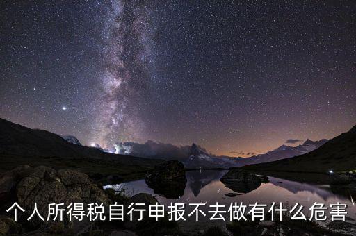 個稅不申報有什么后果，個人所得稅自行申報不去做有什么危害