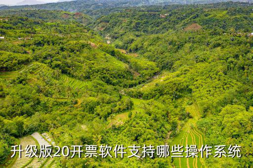 開票軟件適用什么系統(tǒng)，有沒有適合電商用的發(fā)票處理系統(tǒng)