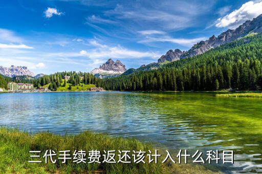 什么叫三代手續(xù)費(fèi)，三代手續(xù)費(fèi)返還該計(jì)入什么科目