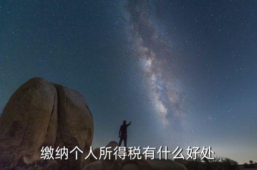個人報稅有什么用，個人自行納稅申報有什么好處