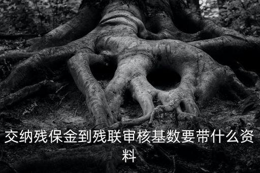 去稅務(wù)申報殘保金帶什么資料，去地稅交殘疾人保障金需要什么資料