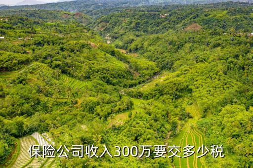 保險公司交什么稅，保險公司保險費交營業(yè)稅嗎按5交