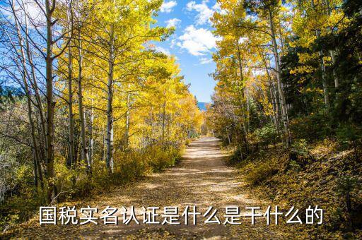 國(guó)稅局實(shí)名認(rèn)證是什么，今天國(guó)稅局叫去實(shí)名認(rèn)證認(rèn)證是不是就得交