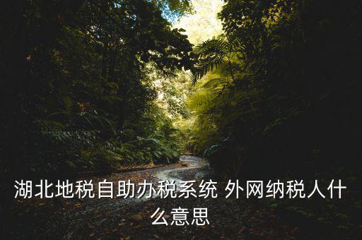 湖北地稅自助辦稅系統(tǒng) 外網納稅人什么意思