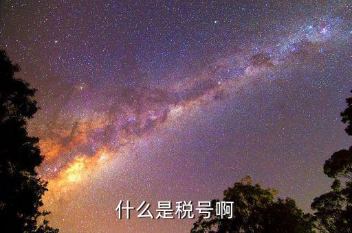 公司稅號(hào)是什么，公司的稅號(hào)一般有多少位