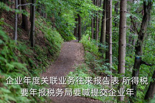 國(guó)稅關(guān)聯(lián)表是什么意思，所得稅中關(guān)聯(lián)關(guān)系是什么意思